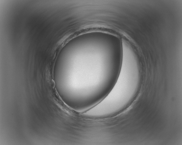 X0000055510969200508120751