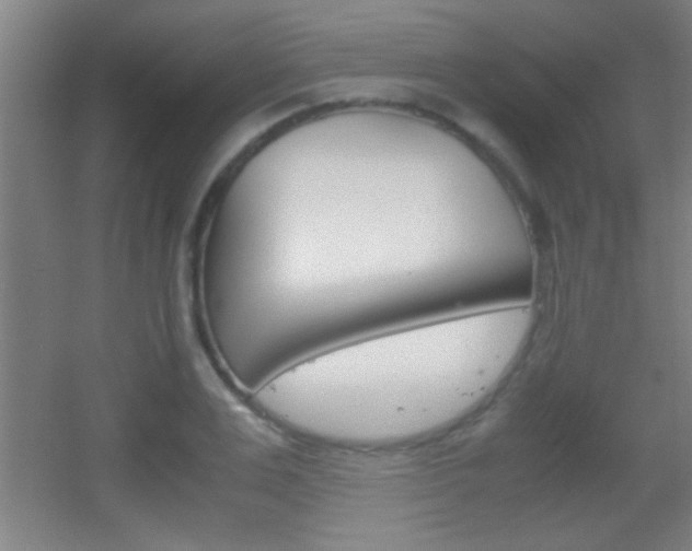 X0000055510983200508120751