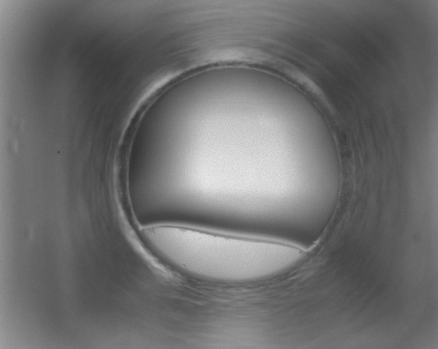 X0000055510991200508120751