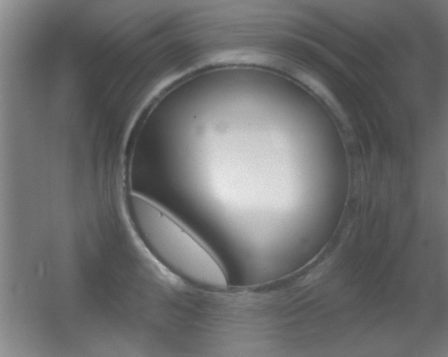 X0000055510992200508120751