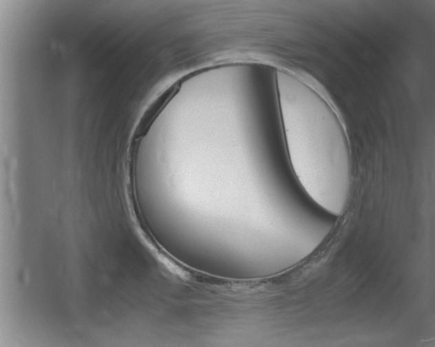 X0000055511005200508120751