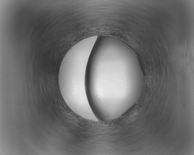 X0000055511010200508120750