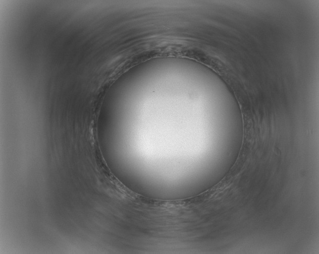 X0000055511013200508120750