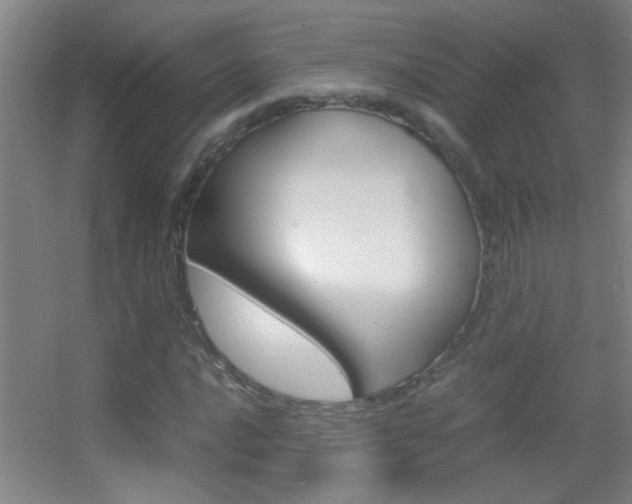 X0000055511016200508120750