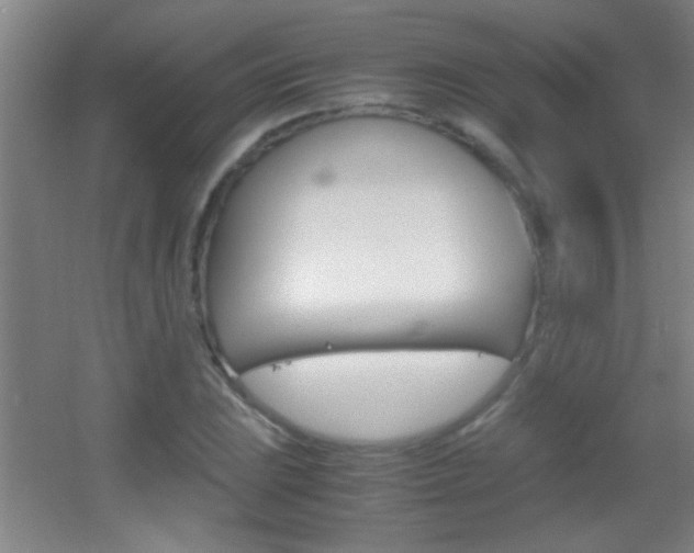 X0000055511023200508120750