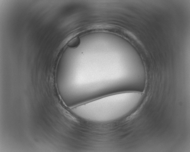 X0000055511025200508120750