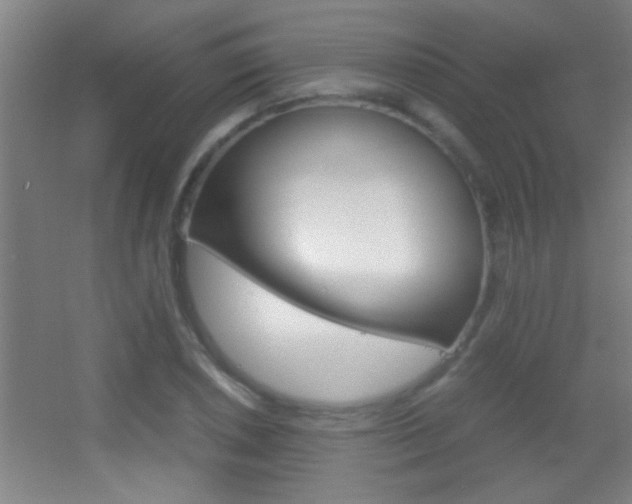 X0000055511026200508120750
