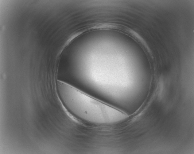 X0000055511041200508120750