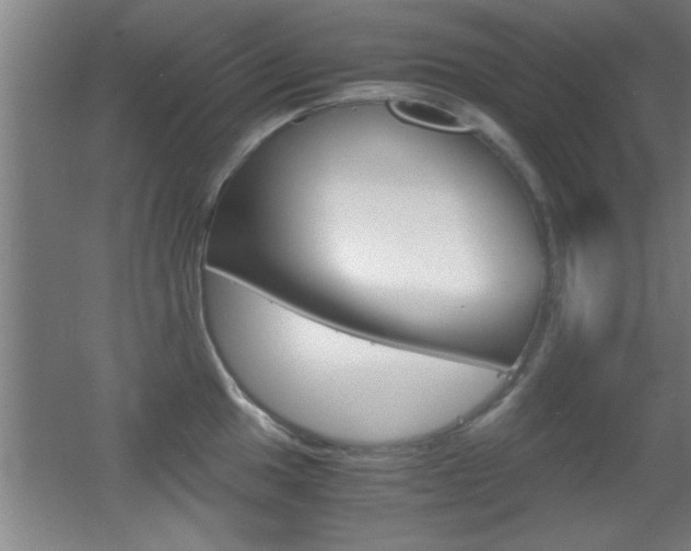 X0000055511049200508120750