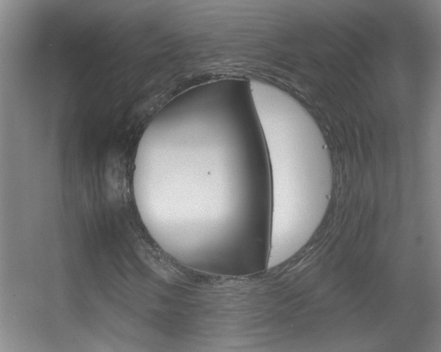 X0000055511058200508120750