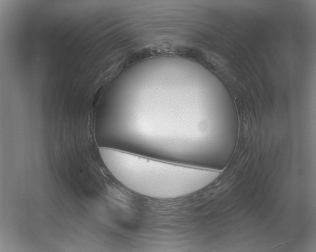 X0000055511060200508120750