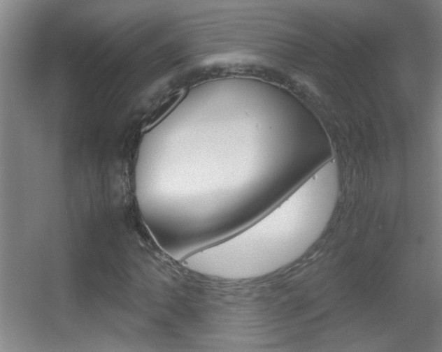 X0000055511062200508120750