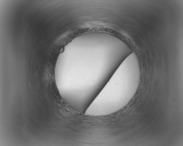 X0000055511063200508120750
