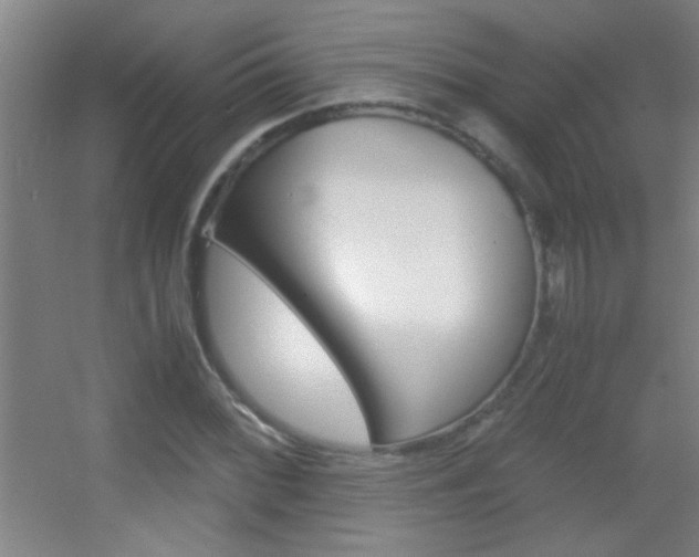 X0000055511068200508120749