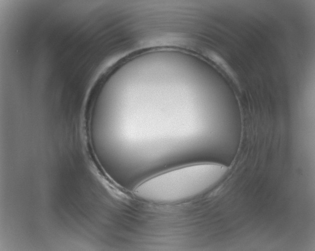 X0000055511072200508120749