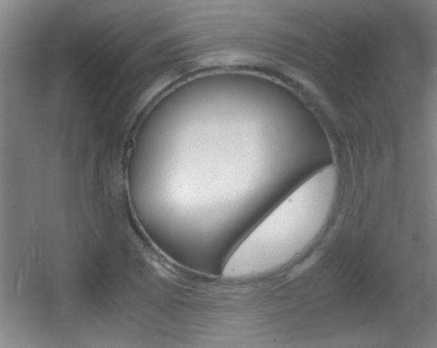 X0000055511073200508120749