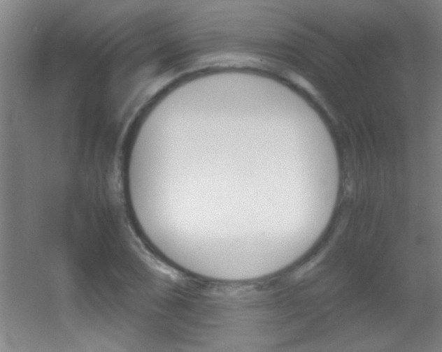 X0000055511074200508120749