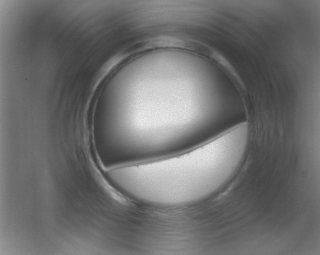 X0000055511082200508120749