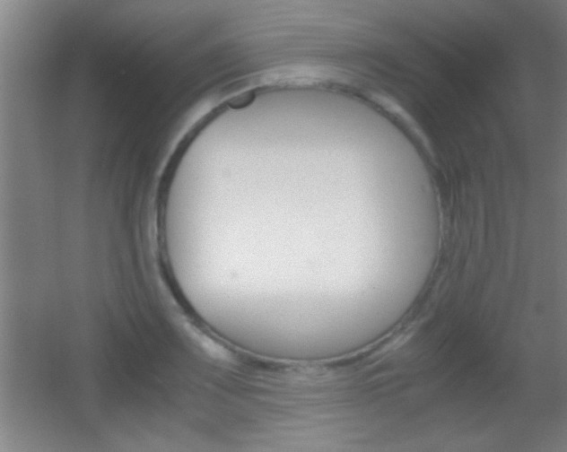 X0000055511083200508120749