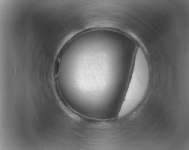 X0000055511085200508120749