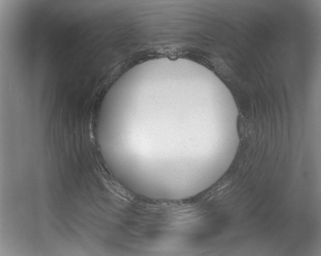 X0000055511106200508120748