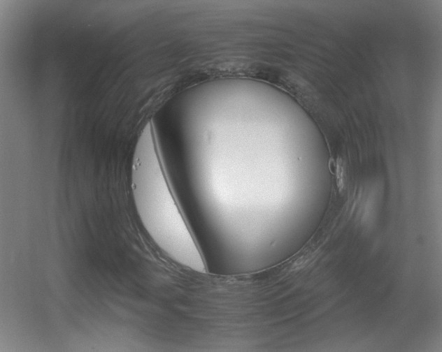 X0000055511107200508120748