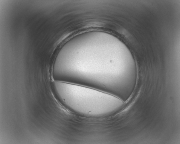 X0000055511113200508120748