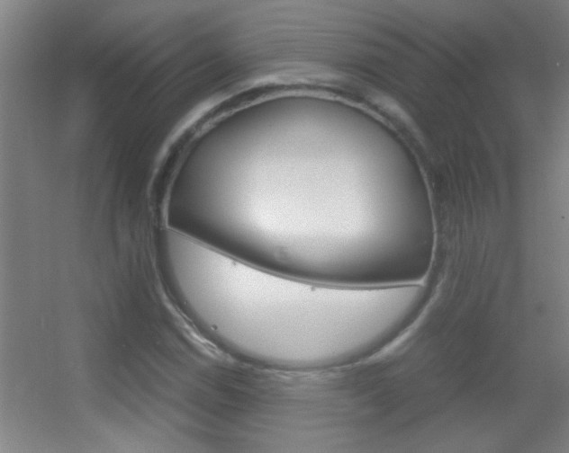 X0000055511114200508120748