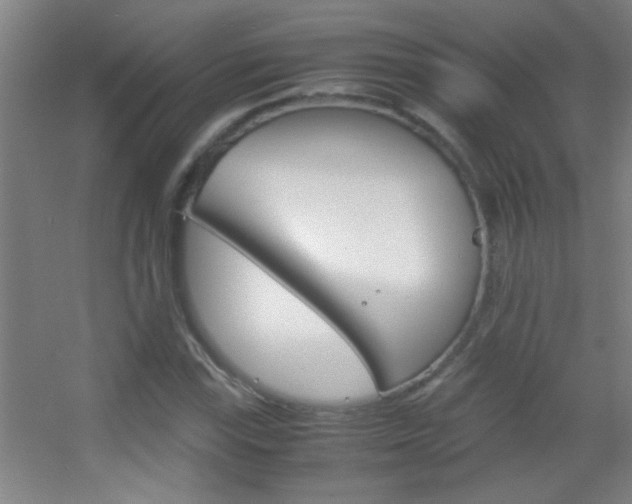 X0000055511115200508120748