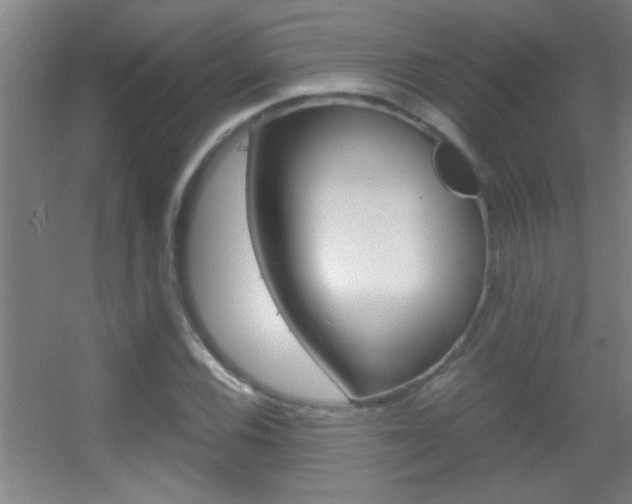 X0000055511116200508120748