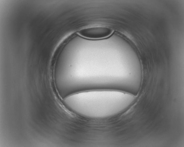 X0000055511119200508120748