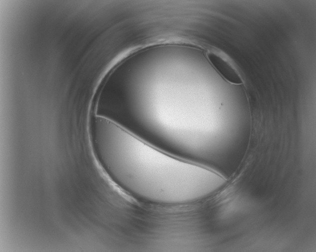 X0000055511142200508120749