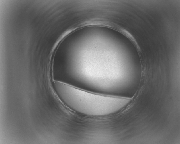 X0000055511146200508120749