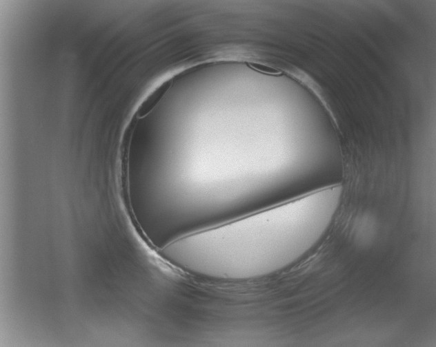 X0000055511147200508120749