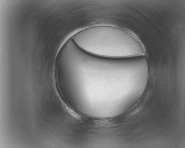 X0000055511149200508120749