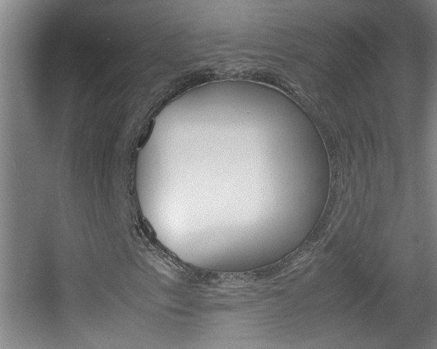 X0000055511153200508120748