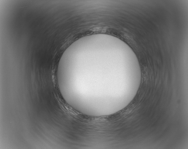 X0000055511154200508120748