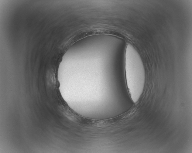X0000055511155200508120748