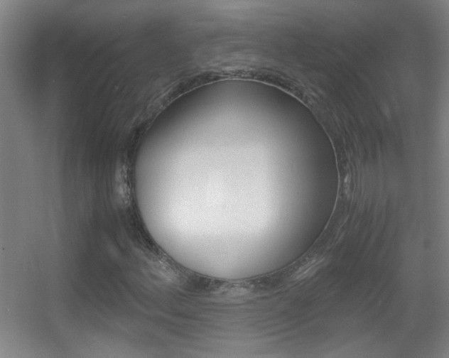 X0000055511156200508120748