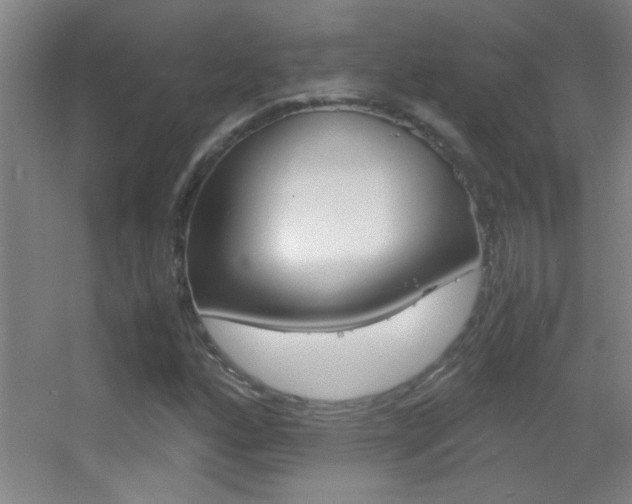 X0000055511160200508120748