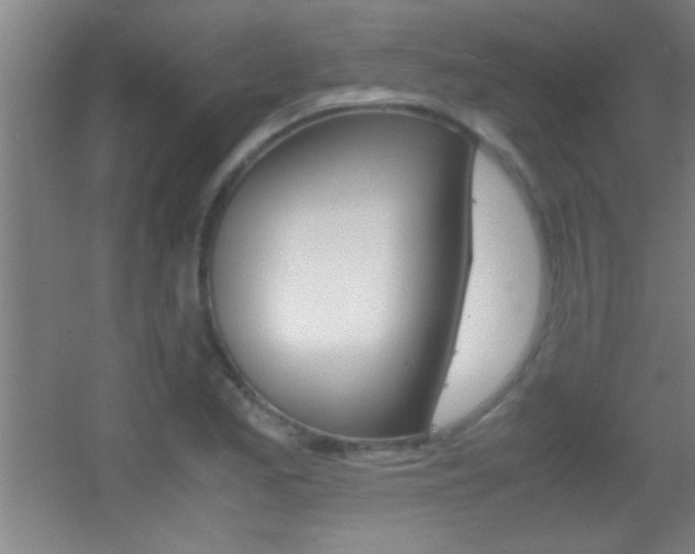 X0000055511173200508120748