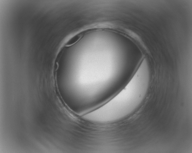 X0000055511176200508120748