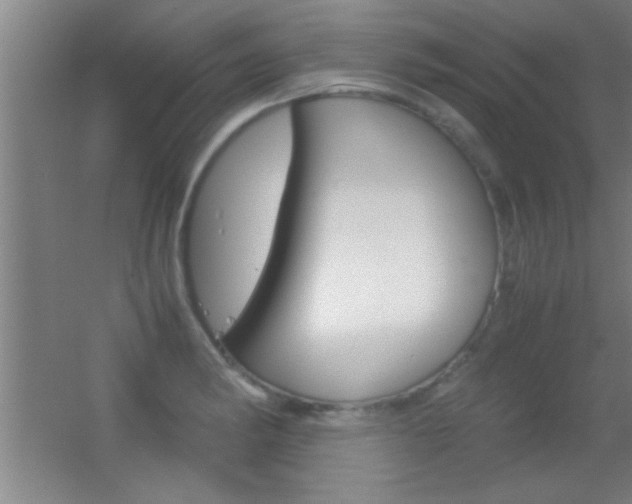 X0000055511182200508120748