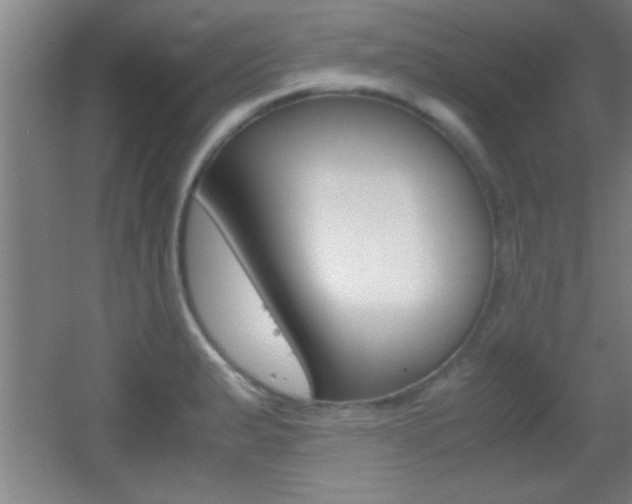 X0000055511183200508120748