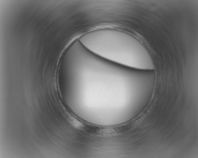 X0000055511186200508120747