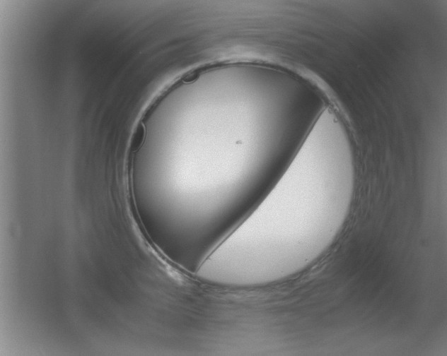 X0000055511191200508120747