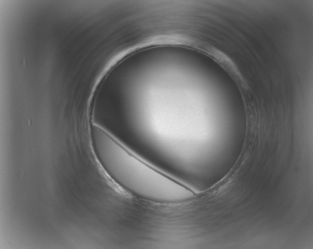 X0000055511192200508120747