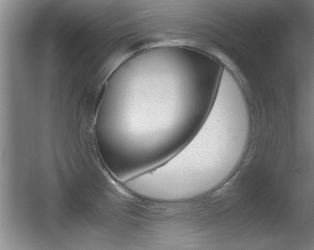X0000055511193200508120747