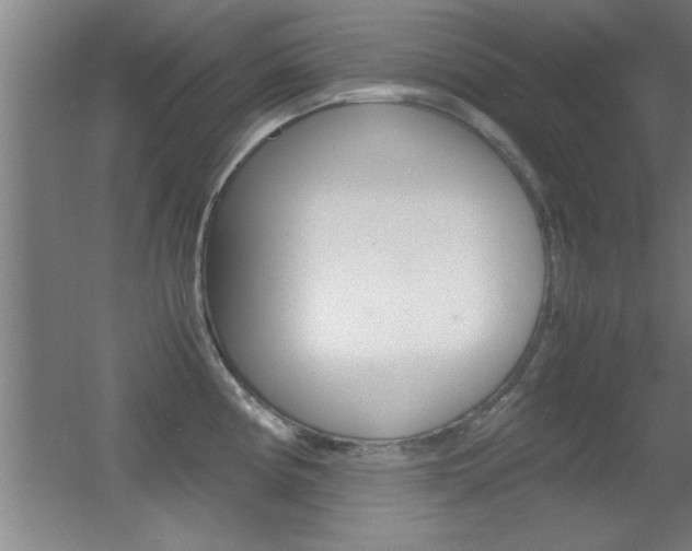 X0000055511194200508120747