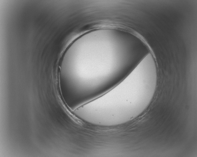 X0000055511195200508120747